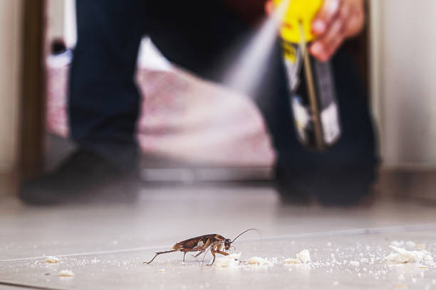 Best Wasp Removal Services  in Ephrata, PA